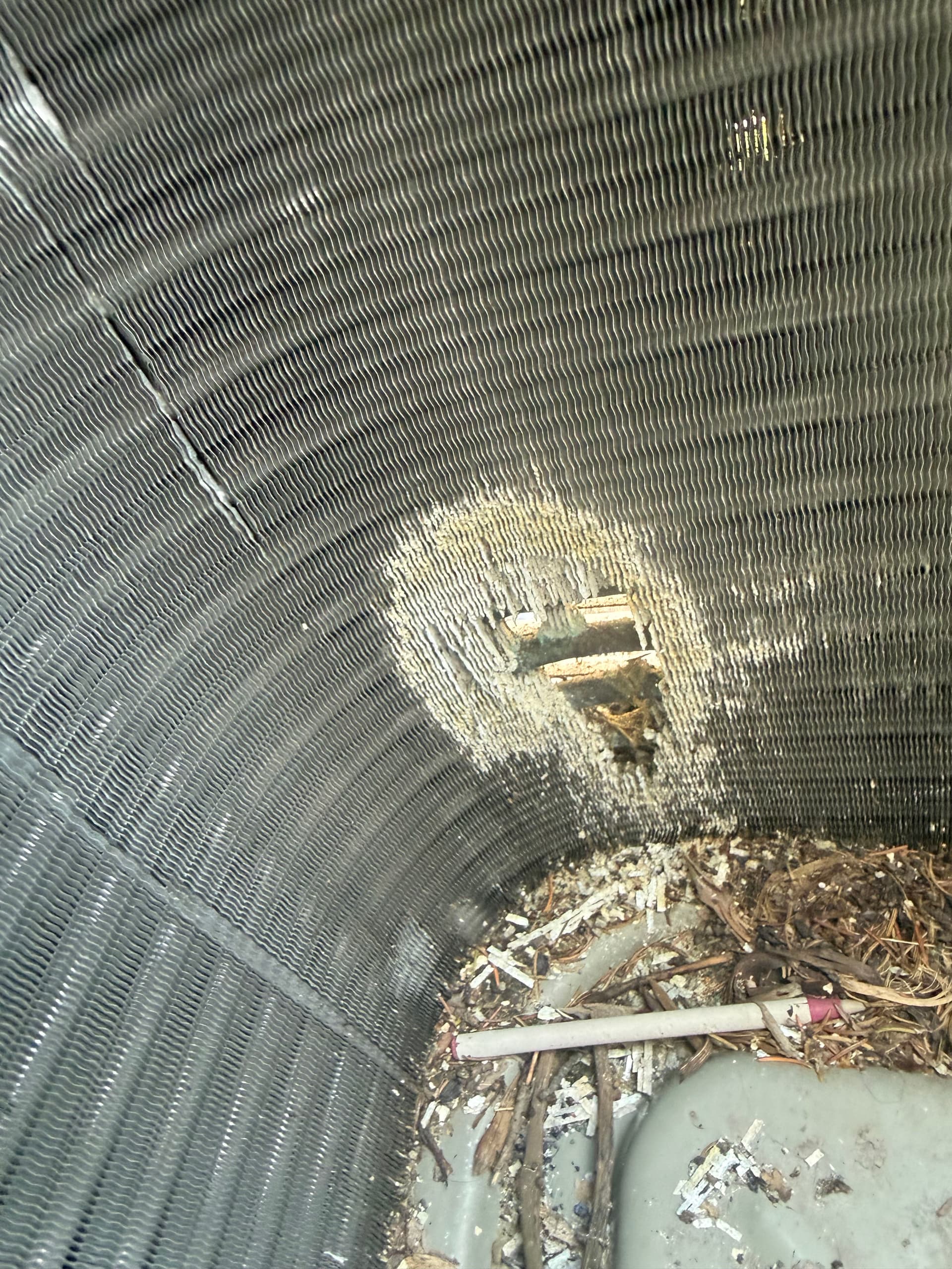 AC Maintenance in Kenosha Uncovered Hidden Animal Damage image