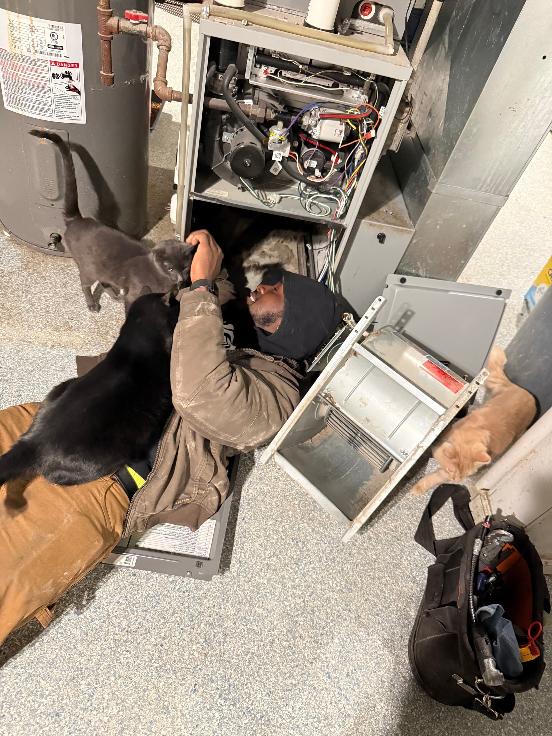 Pet Hair in Your Furnace Is a Real Problem - Here's Why image